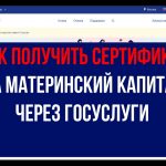 Получение сертификата на материнский капитал - пошаговое руководство